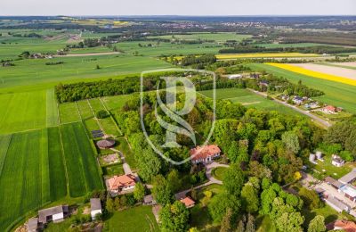 Manoir à vendre Przedbórz, Łódź, Vue