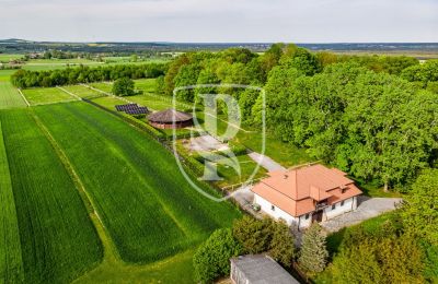 Manoir à vendre Przedbórz, Łódź, Image 29/42