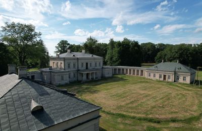 Château à vendre Dołhobyczów, Parkowa 1, Voïvodie de Lublin, Image 5/13