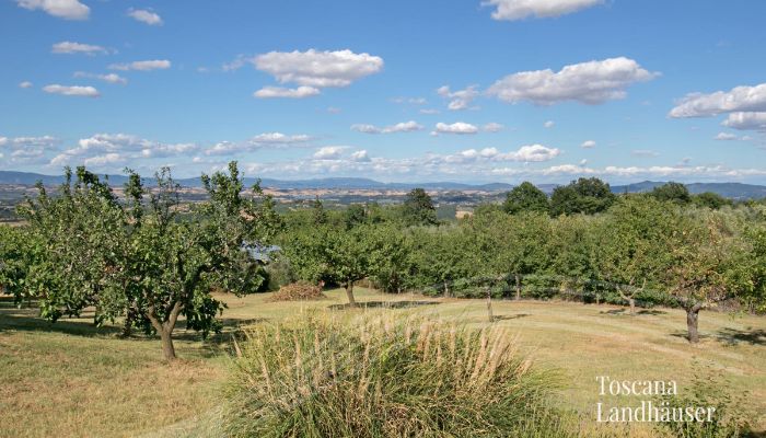 Ferme Sarteano 4