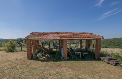 Ferme à vendre Asciano, Toscane, RIF 2982 Unterstellmöglichkeit