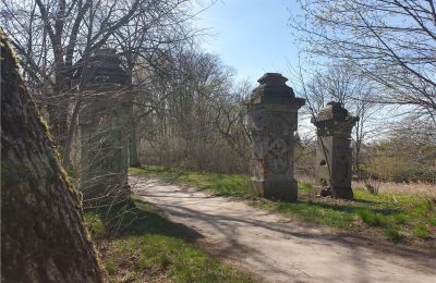 Parc historique à vendre Dębe Wielkie, Ruda, Mazovie, Image 2/24