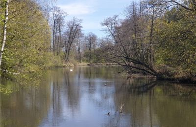 Parc historique à vendre Dębe Wielkie, Ruda, Mazovie, Image 14/24
