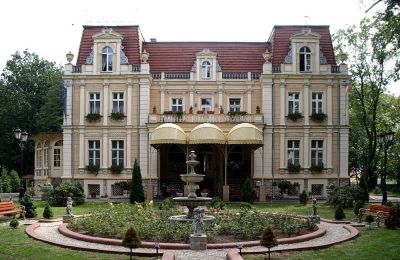 Château à vendre Niewodniki, Voïvodie d'Opole, Image 1/9