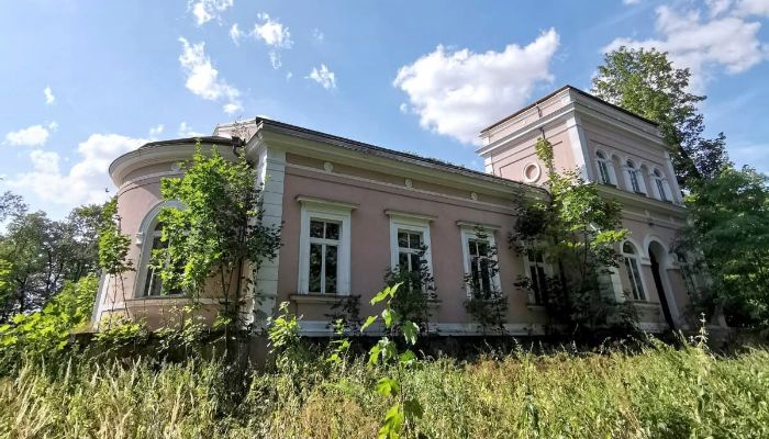 Manoir à vendre Lubiatów, Łódź,  Pologne