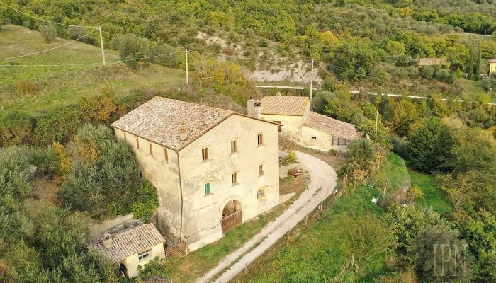 Ferme Pierantonio 2