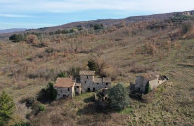 Ferme à vendre 06019 Umbertide, Ombrie, Image 3/20