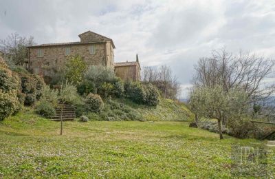 Ferme à vendre Città di Castello, Ombrie, Image 6/48