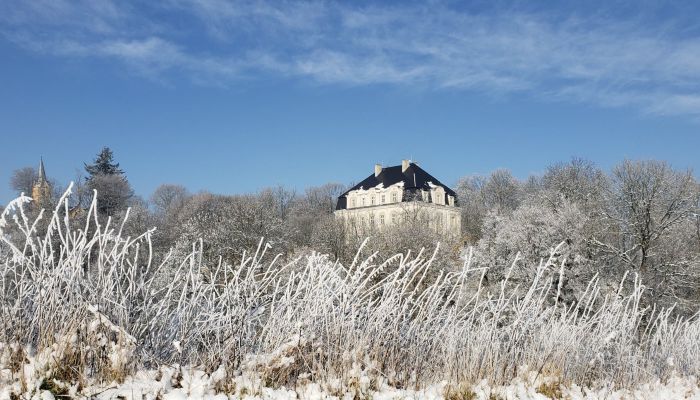 Château à vendre Piszkowice, Basse-Silésie,  Pologne