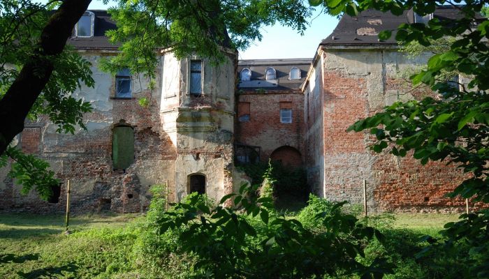 Kasteel Komorowice 4