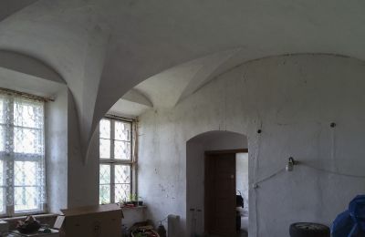 Kasteel te koop Pisarzowice, województwo opolskie, Foto 9/17