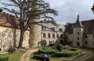 Kasteel te koop Veauce, Auvergne-Rhône-Alpes, Foto 4/9