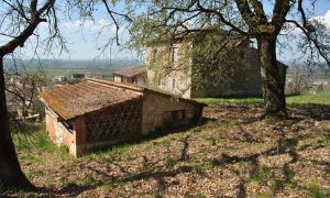 Ferme Siena 3