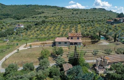 Maison de campagne à vendre Cortona, Toscane, RIF 3085 Weg zum Landhaus