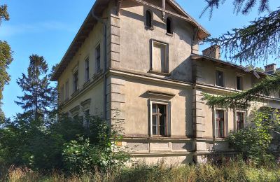 Château à vendre Stradzewo, Pałac w Stradzewie, Poméranie occidentale, Vue latérale