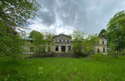 Château à vendre Stradzewo, Pałac w Stradzewie, Poméranie occidentale, Image 7/14