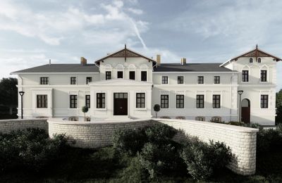 Château à vendre Stradzewo, Pałac w Stradzewie, Poméranie occidentale, Visualisation