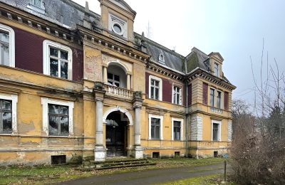 Château à vendre Olszyna Dolna, Pałac Olszyna, Basse-Silésie, Vue frontale