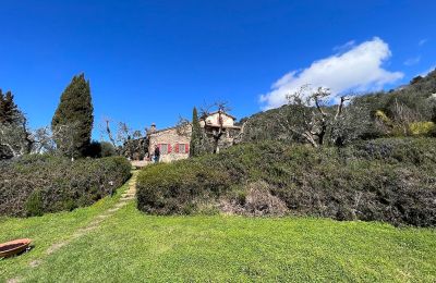 Maison de campagne à vendre Campagnatico, Toscane,, Vue extérieure