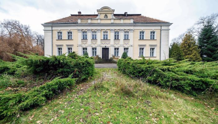 Château à vendre Gola, Grande-Pologne,  Pologne