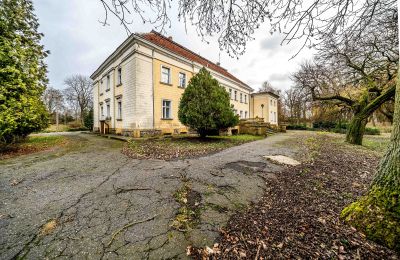 Kasteel te koop Gola, województwo wielkopolskie, Foto 42/46