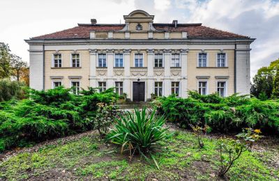 Château à vendre Gola, Grande-Pologne, Image 1/28