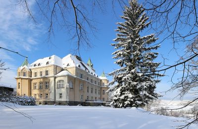 Kasteel te koop Liberec, Liberecký kraj, Achteraanzicht