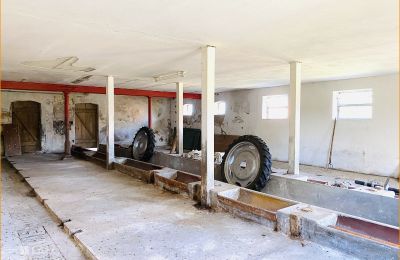 Ferme à vendre 21493 Elmenhorst, Schleswig-Holstein, Stall