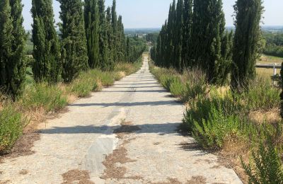 Historische villa te koop Emilia-Romagna, Foto 3/9