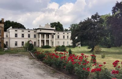 Château à vendre Głuchowo, Palac 1, Grande-Pologne, Accès