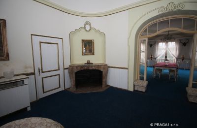 Manoir à vendre Karlovy Vary, Karlovarský kraj, Salle de séjour