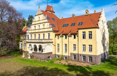 Château à vendre Ornontowice, Zamkowa, Silésie, Vue extérieure