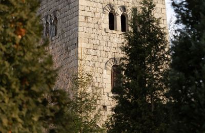 Portrait immobilier : Château "Schloss Boberstein" / Zamek Bobrów, Image 14