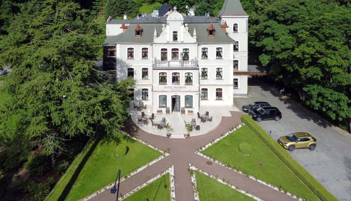 Villa historique à vendre Duszniki-Zdrój, Basse-Silésie,  Pologne