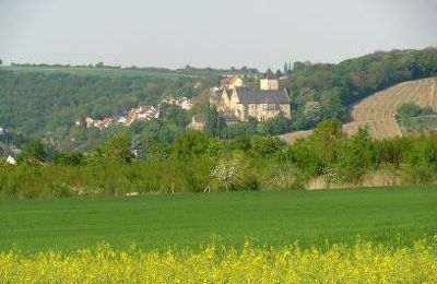 Château à vendre 97453 Schonungen, Ernst Sachs Straße 6, Bavière, Ansicht von der Mainseite