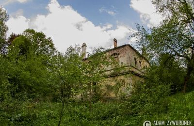 Château à vendre Czerna, Pałac w Czernej, Lubusz, Image 6/8