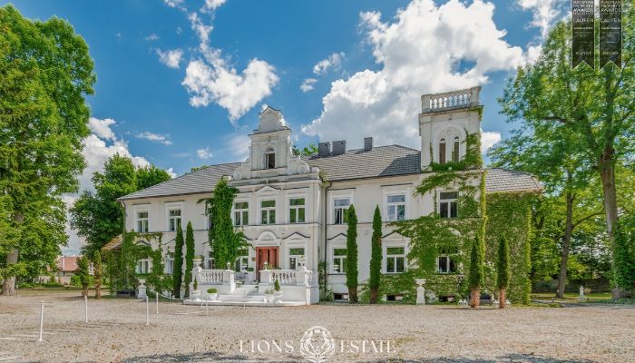 Manoir à vendre Pstrokonie, Łódź,  Pologne