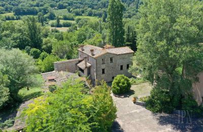 Manoir à vendre 06014 Montone, Ombrie, Image 35/36