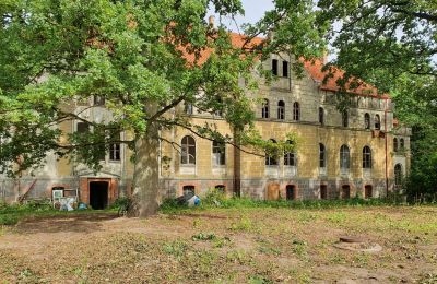 Nous achetons un vieux château, Vue de l'arrière