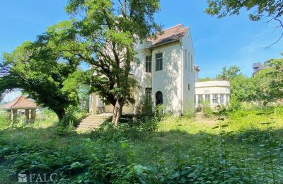 Villa historique à vendre 99510 Apolda, Lessingstraße 62, Thuringe, Terrain