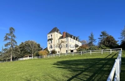 Manoir à vendre Pau, Nouvelle-Aquitaine, Image 2/23