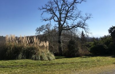 Château à vendre Pau, Nouvelle-Aquitaine, Parc