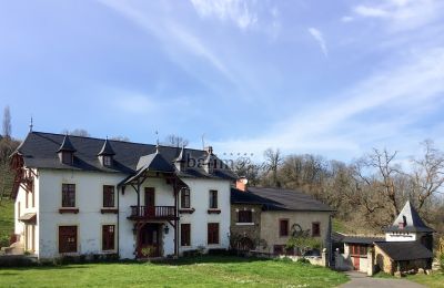 Manoir à vendre Pau, Nouvelle-Aquitaine, Vue extérieure