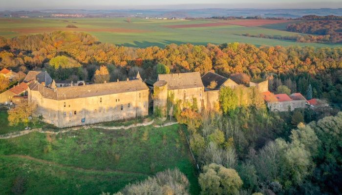 Château à vendre Roussy-le-Bourg, Grand-Est,  France, 2