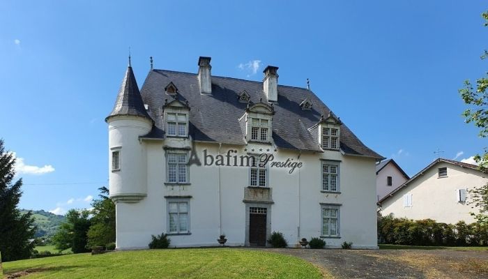 Château à vendre Saint-Jean-Pied-de-Port, Nouvelle-Aquitaine,  France