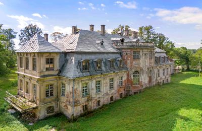 Château à vendre Minkowskie, Minkowskie  69, Voïvodie d'Opole, Image 10/43