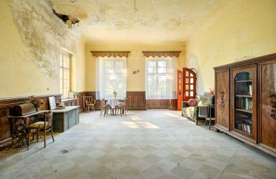 Château à vendre Minkowskie, Minkowskie  69, Voïvodie d'Opole, Image 13/43