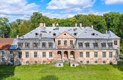 Château à vendre Minkowskie, Minkowskie  69, Voïvodie d'Opole, Image 2/43