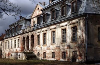 Château à vendre Minkowskie, Minkowskie  69, Voïvodie d'Opole, Image 3/43