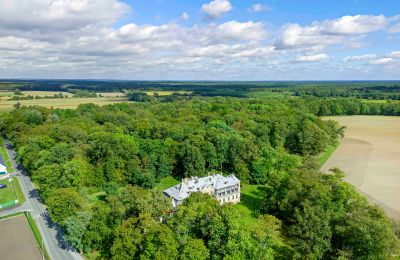 Château à vendre Minkowskie, Minkowskie  69, Voïvodie d'Opole, Image 40/43